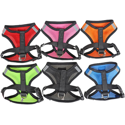 Cat Dog Harness with Lead Leash
